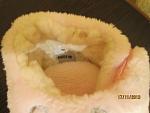     
: IMG_0133.jpg
: 12
:	78.5 
ID:	8929612