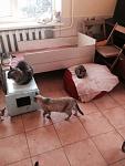     
: P4aBRsRFLN0.jpg
: 59
:	51.3 
ID:	8931933