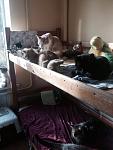     
: z7CpJnjVYwE.jpg
: 63
:	50.3 
ID:	8931935