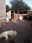    
: ezgeDpDbWCo.jpg
: 58
:	71.7 
ID:	8931938