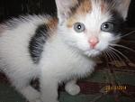     
: IMG_0264.jpg
: 3
:	90.0 
ID:	8933099