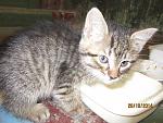     
: IMG_0257.jpg
: 8
:	177.4 
ID:	8933101