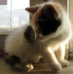     
: IMG_02621.jpg
: 6
:	82.1 
ID:	8933106