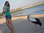     
: getImage.jpg
: 18
:	35.2 
ID:	8933659