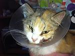     
: IMG_1614.jpg
: 17
:	146.8 
ID:	8933706