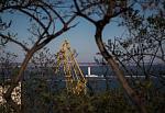     
: IMG_5061-1.jpg
: 11
:	122.4 
ID:	8935612