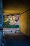     
: IMG_5075-1.jpg
: 17
:	92.8 
ID:	8935617