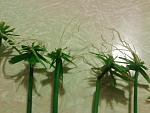     
: 20141029_184605.jpg
: 37
:	180.0 
ID:	8938048