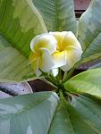     
: 29102014048.jpg
: 66
:	71.0 
ID:	8938050