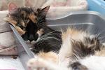     
: DSC_0073.jpg
: 53
:	164.7 
ID:	8940984