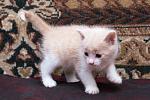     
: DSC_0006.jpg
: 48
:	188.3 
ID:	8940985