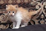     
: DSC_0016.jpg
: 51
:	183.1 
ID:	8940986