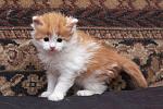     
: DSC_0011.jpg
: 54
:	181.9 
ID:	8940987