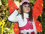     
: DSC01891.jpg
: 27
:	194.2 
ID:	8944638