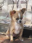     
: IMG_0775.jpg
: 31
:	87.9 
ID:	8945851