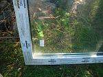     
: DSC04822.jpg
: 14
:	208.4 
ID:	8946048