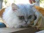     
: CIMG0846.jpg
: 31
:	118.3 
ID:	8946645