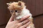     
: DSC_0063.jpg
: 15
:	78.7 
ID:	8948438