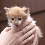     
: DSC_0062.jpg
: 14
:	77.7 
ID:	8948439