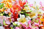     
: bouquet_049.jpg
: 32
:	165.0 
ID:	8951972