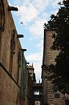     
: SIR_5063.jpg
: 8
:	89.7 
ID:	8954281