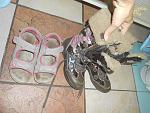     
: DSCN3380.jpg
: 7
:	170.3 
ID:	8957729