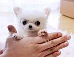     
: df256b8c73994b360c771fc77091c38c.jpg
: 6
:	24.9 
ID:	8958999