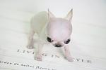     
: dbe1247cd22de61d9d39106b97cd98e9.jpg
: 5
:	15.2 
ID:	8959000
