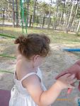     
: P1030044.jpg
: 45
:	116.2 
ID:	8960450