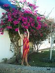    
: KIF_1984.jpg
: 66
:	153.7 
ID:	896321