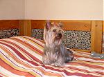     
: P1010246.jpg
: 66
:	138.8 
ID:	89641