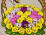     
: DSC07534.jpg
: 4
:	191.1 
ID:	8964892