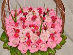     
: DSC07561.jpg
: 1
:	190.3 
ID:	8964923