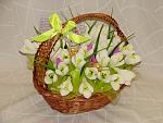     
: DSC07607.jpg
: 2
:	133.4 
ID:	8965028