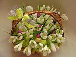     
: DSC07613.jpg
: 6
:	131.7 
ID:	8965029
