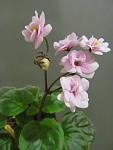     
: IMG_0811.jpg
: 22
:	64.7 
ID:	8966892