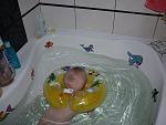     
: P1060958.jpg
: 34
:	90.4 
ID:	8968768