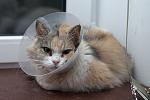    
: DSC_2147.jpg
: 20
:	130.5 
ID:	8969241