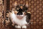     
: DSC_2162.jpg
: 13
:	157.2 
ID:	8972137