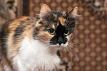     
: DSC_2148.jpg
: 14
:	168.4 
ID:	8972138