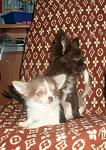     
: 8d7Se907s6U.jpg
: 9
:	142.8 
ID:	8972302
