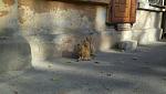     
: 2014-11-05_10-48-50_297.jpg
: 141
:	106.9 
ID:	8973630