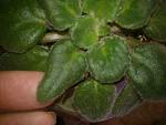     
: WP_003592.jpg
: 35
:	104.5 
ID:	8974372