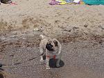     
: DSC00265.jpg
: 11
:	301.3 
ID:	8975461