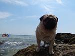     
: DSC00270.jpg
: 12
:	119.0 
ID:	8975469