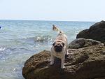     
: DSC00273.jpg
: 12
:	159.3 
ID:	8975470