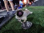     
: DSC00405.jpg
: 22
:	188.3 
ID:	8976623
