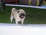     
: DSC00410.jpg
: 20
:	134.3 
ID:	8976624