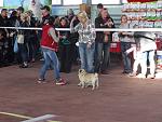     
: DSC00477.jpg
: 9
:	161.4 
ID:	8978023