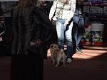     
: DSC00474.jpg
: 10
:	118.4 
ID:	8978024